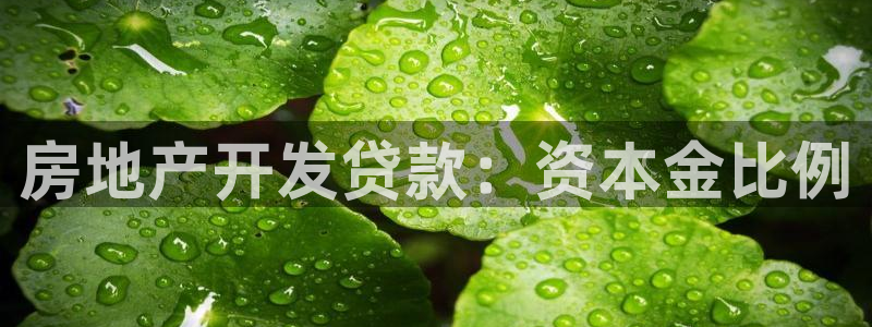 永利家具厂怎么样