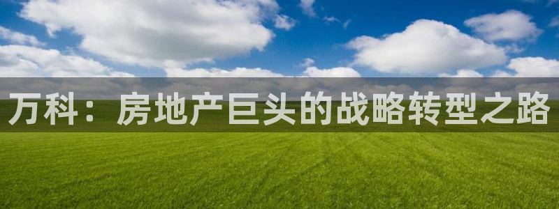 金沙永利夜总会怎么样
