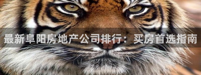 鄂尔多斯永利煤矿简介