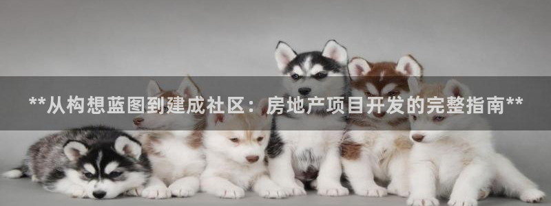 永利制带有限公司