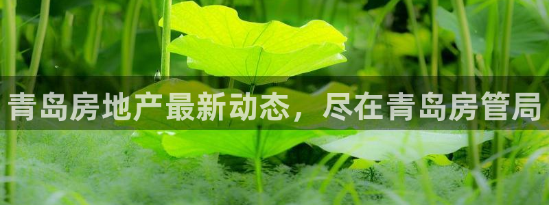 佛山永利工业皮带厂怎么样