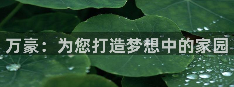 永利是啥意思