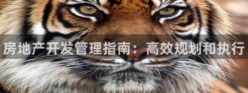 永利股份公司