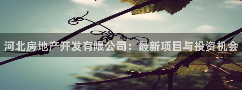 永利实业集团