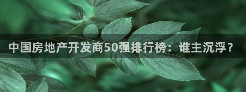 永利钱提不出来怎么办