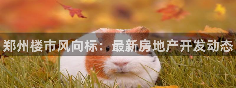 永利现场