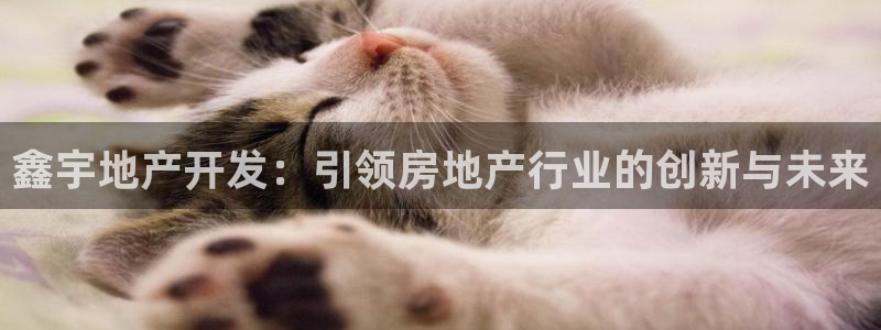 永利汇茶具官网
