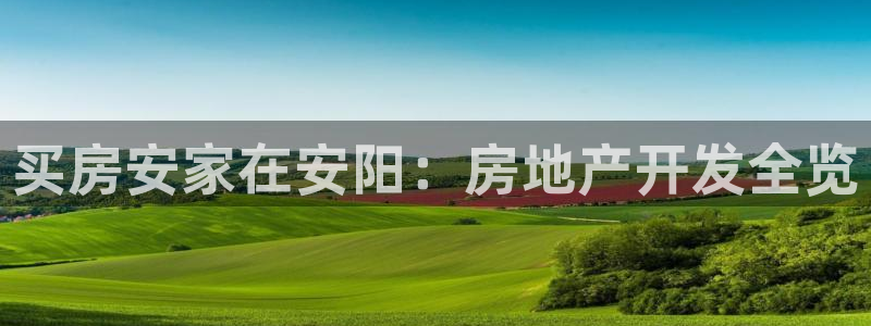 永利皮带官网