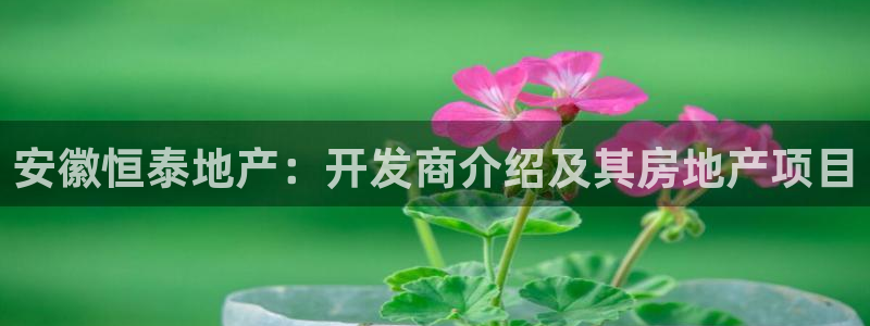 永利官网正网