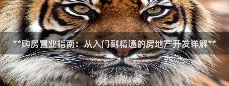 永利钱提不出来怎么办
