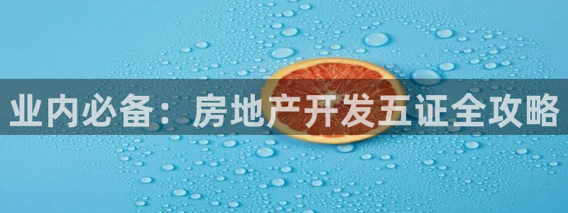 金沙永利夜总会怎么样