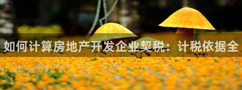 永利带业 皮带 输送带 价格