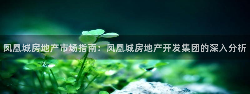 永利每月送30