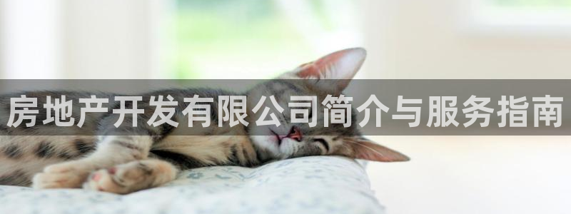 304.cam永利集团
