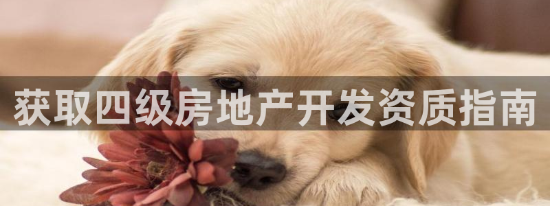 永利制带公司管理人员名单