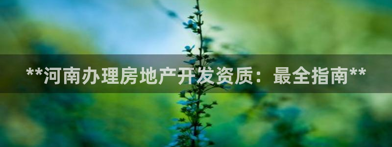 永利官网总站入口网址
