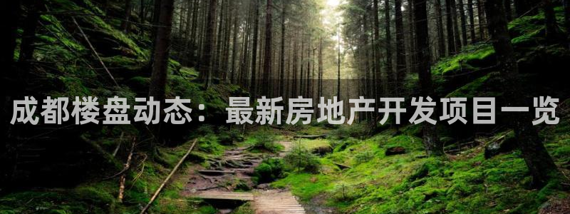 永利集团董事长什么级别