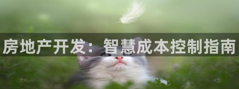 永利表行的手表是正品吗