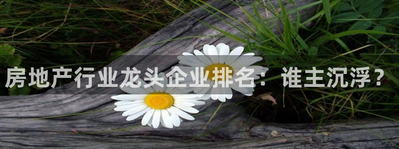永利保险公司介绍