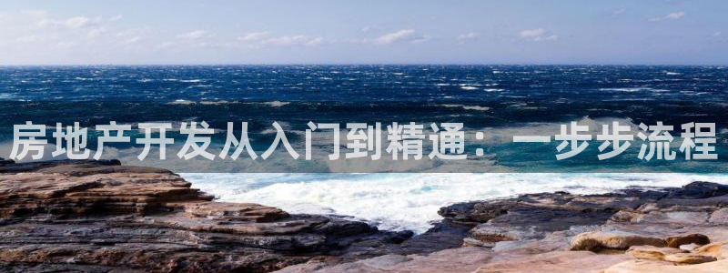 永利股份有限公司介绍