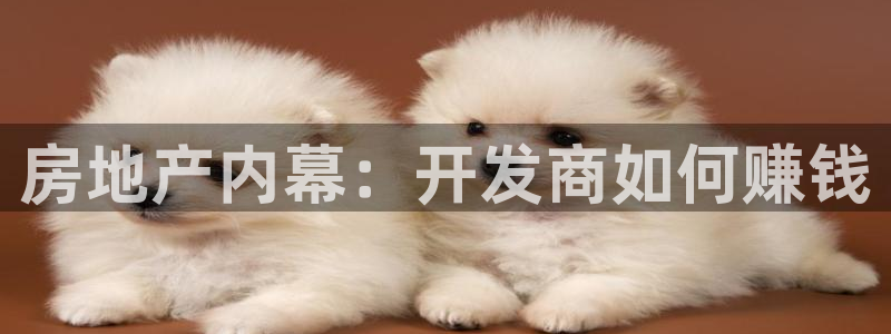 永利网能赚钱是真的么