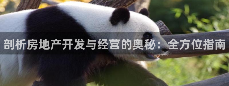 永利皮革有限公司招聘