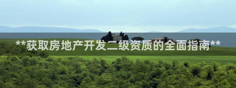 永利有限责任公司
