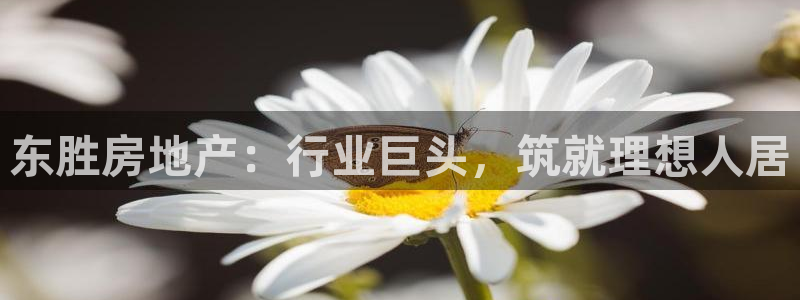澳门永利 陈志玲
