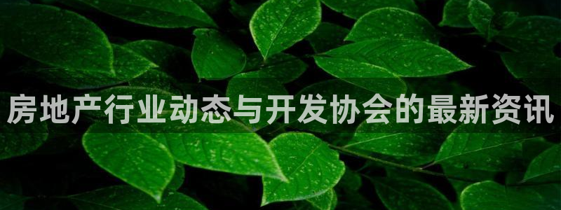 永利传送带业务