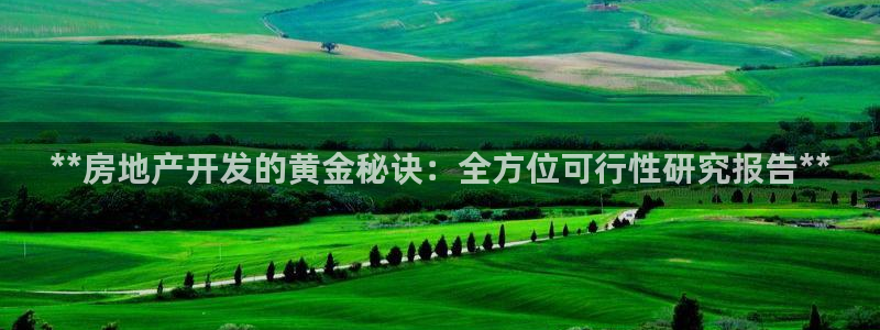 永利金文化有限公司