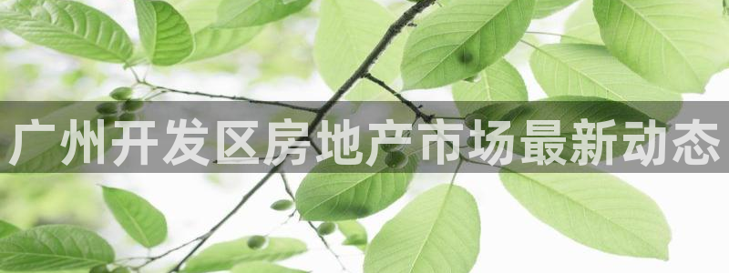 浙江永利集团董事长