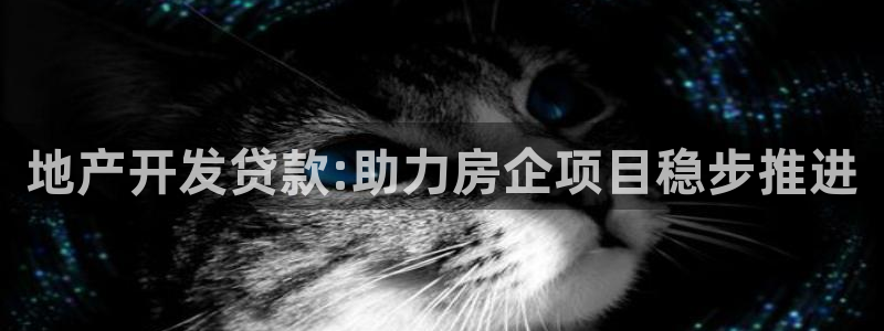 永利带业集团2020年的业绩状况