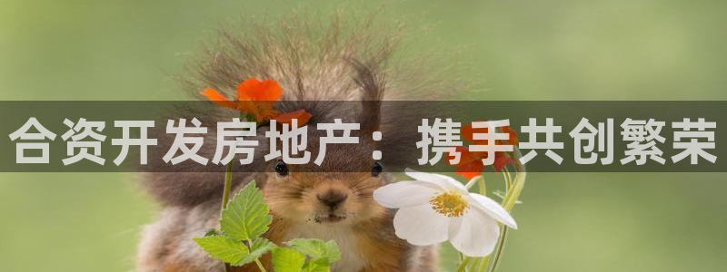 永利中国的老板是谁