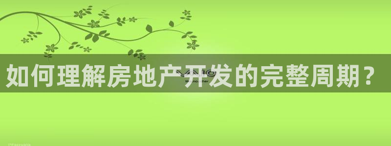 永利地产