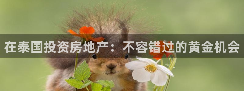 莱州永利集团