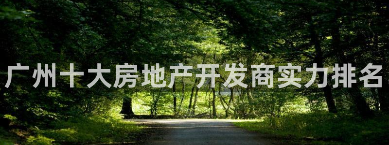 永利集团董事长
