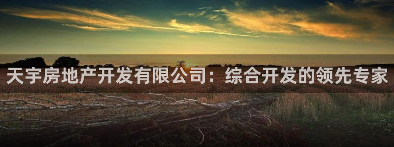 永利集团董事长