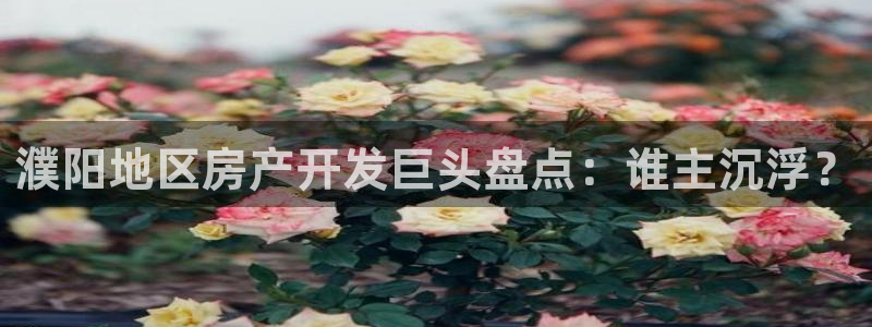 永利精品酒店