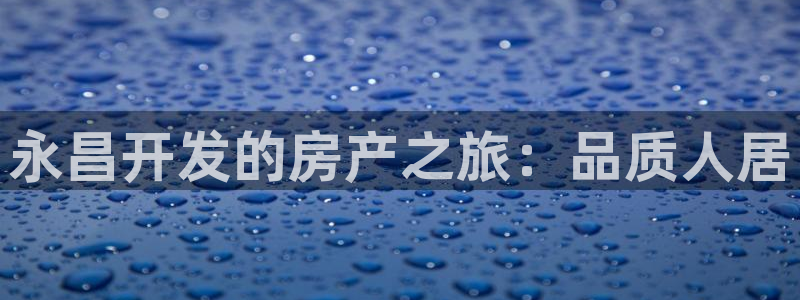 永利金控控股有限公司