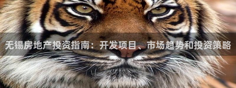 永利官网
