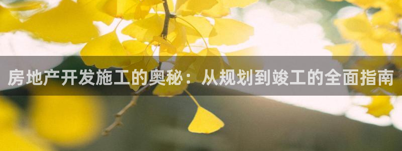 金沙永利夜总会怎么样