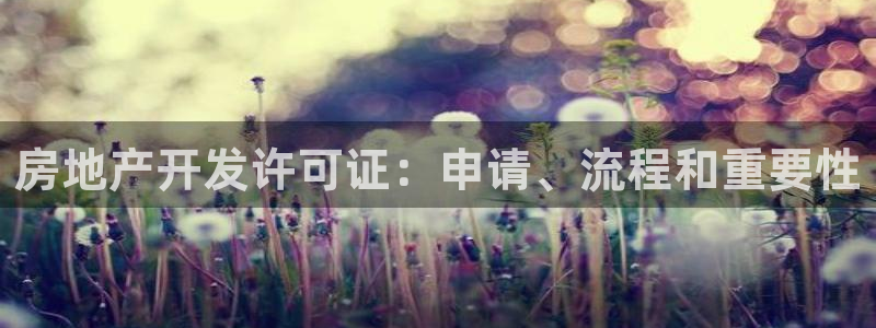 永利皮带型号说明