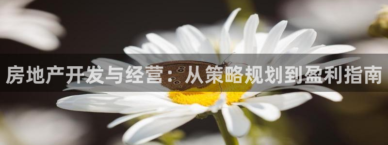 永利投资合法吗