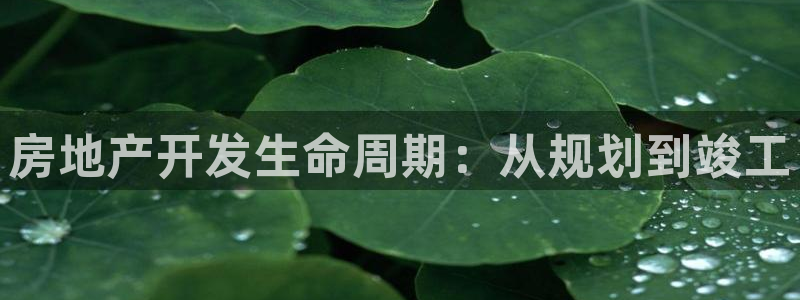 永利带业集团2020年的业绩状况