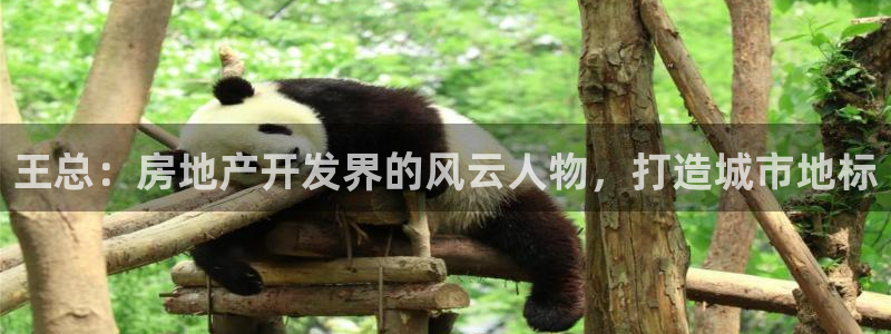 永利网怎么了打不开