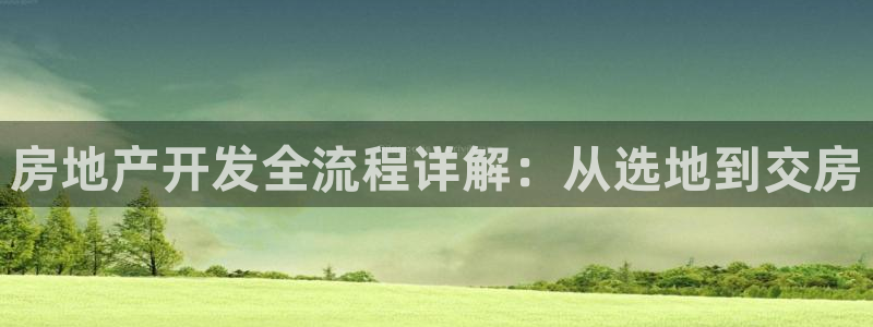 永利汇茶具官网