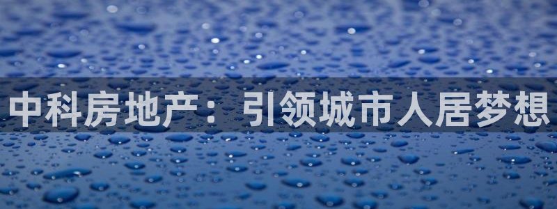 永利汇茶具怎么样