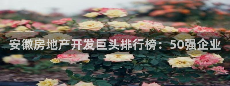 佛山永利工业皮带