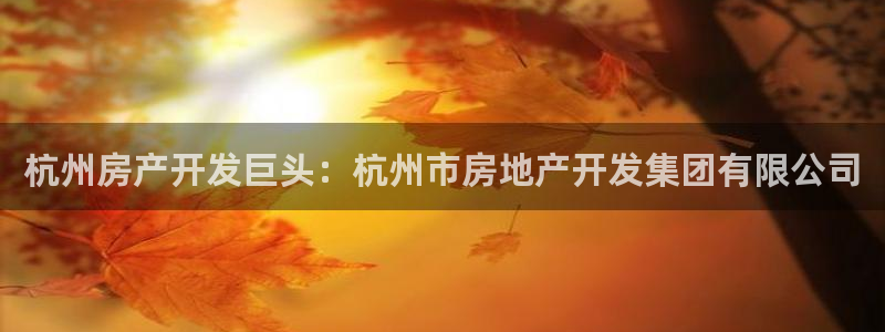 永利中国的老板是谁