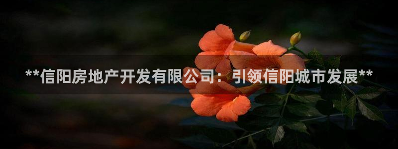 永利皮带官网价格查询